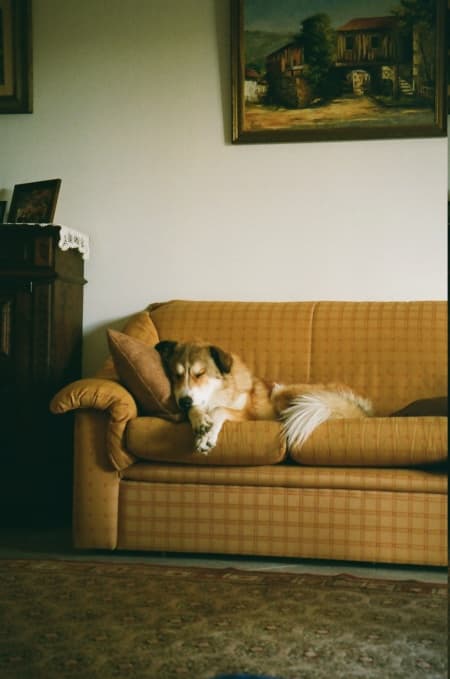 Charly · photo 11