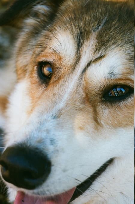Charly · photo 9