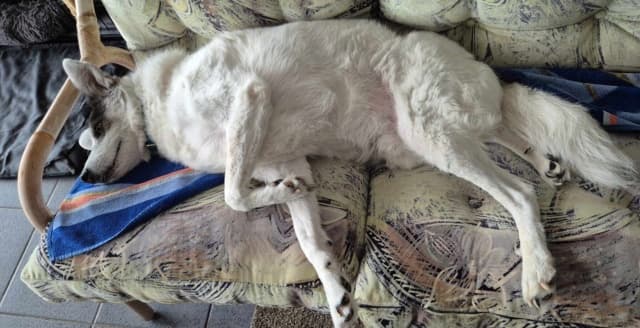 Chouky · photo 3