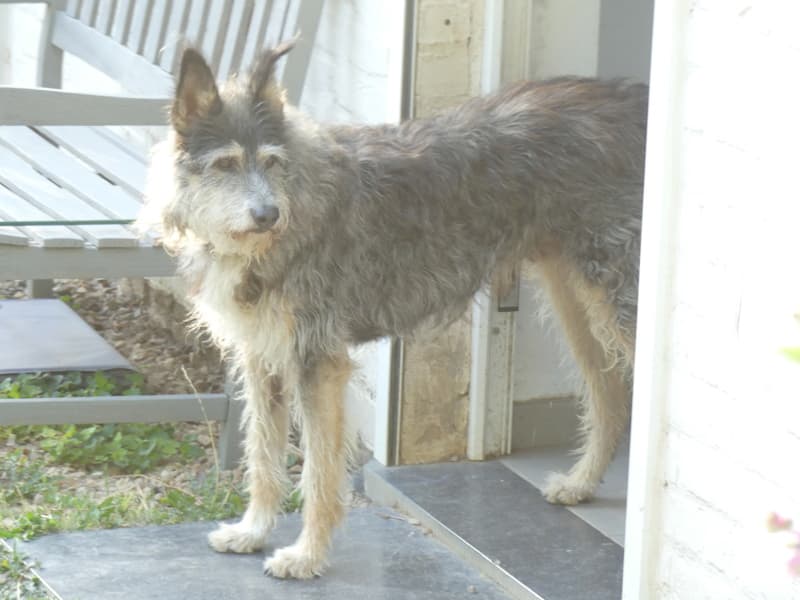 Derek · photo 1