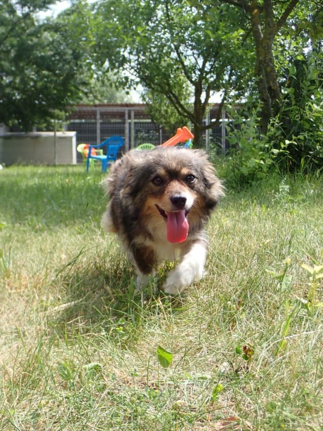 Dolce · photo 8