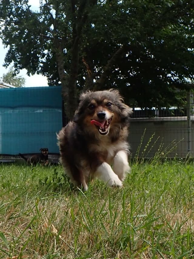 Dolce · photo 2