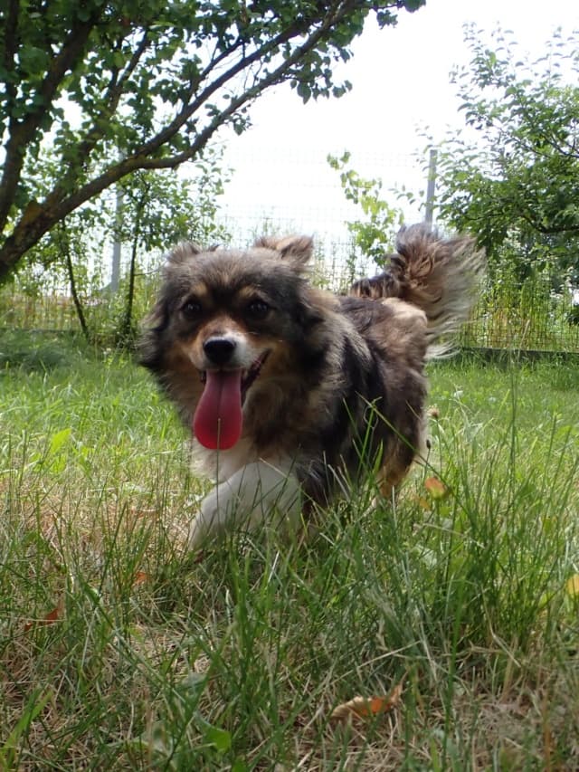 Dolce · photo 1