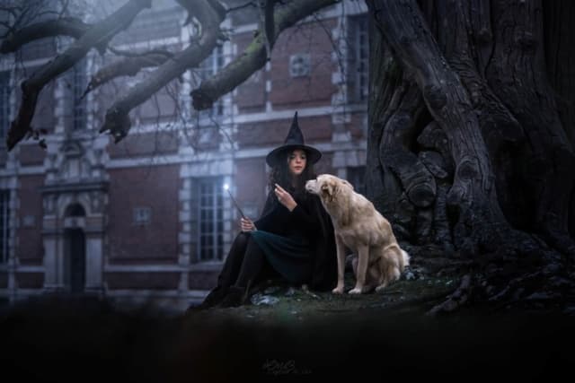 Drogon · photo 10