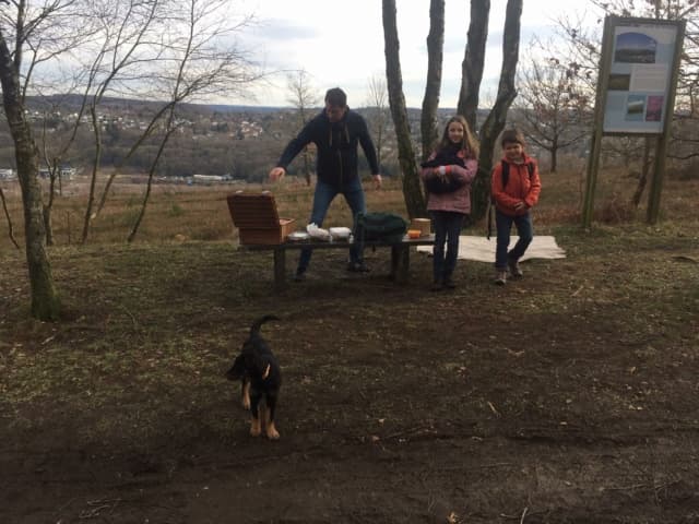 Emerald · photo 3