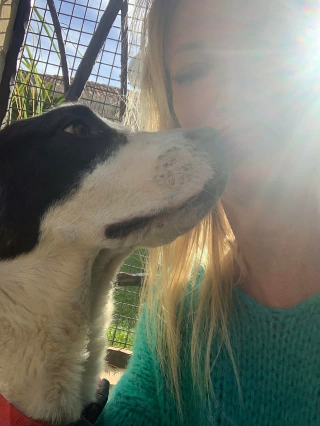 Goofy · photo 12