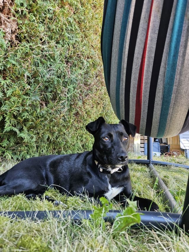 Hera · photo 1