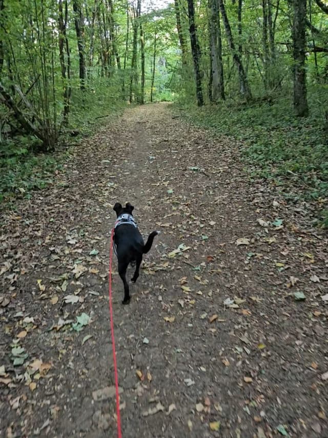 Hera
