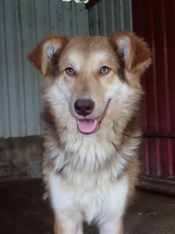 Hooper · photo 6