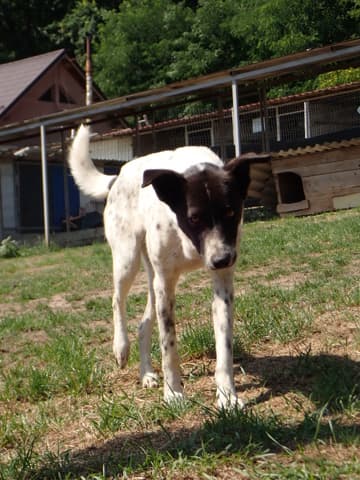 Jeanette · photo 4