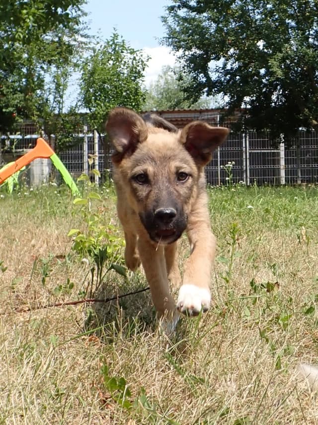Jill · photo 11