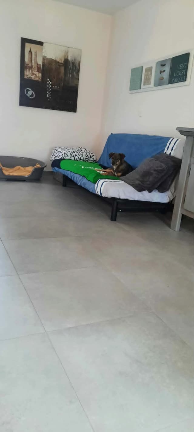 Karaba · photo 1