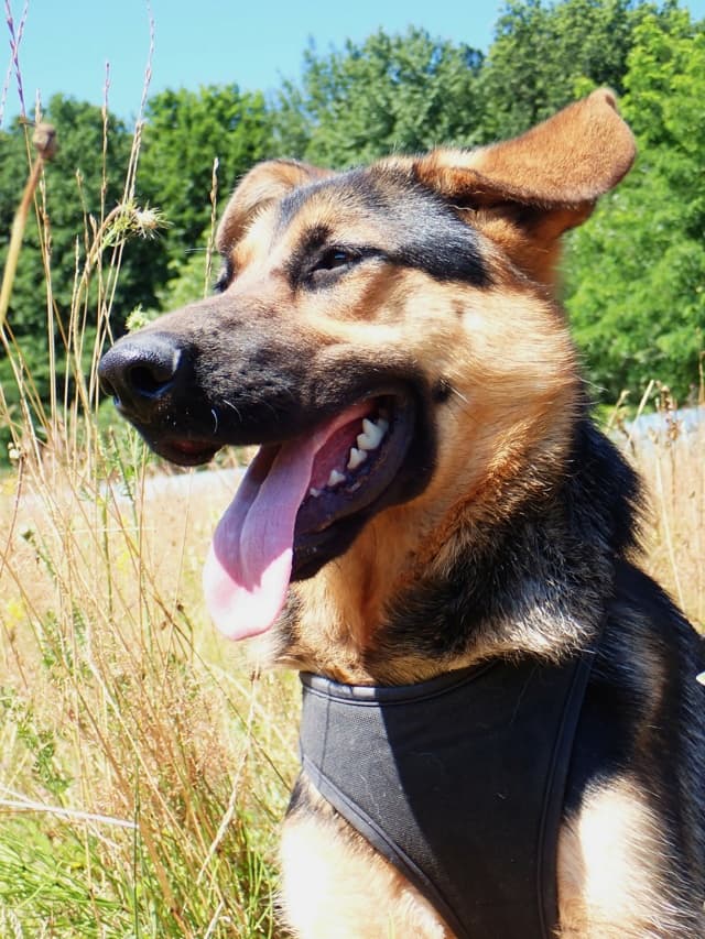 Kessyra · photo 5