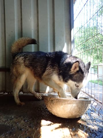 Kira2 · photo 2
