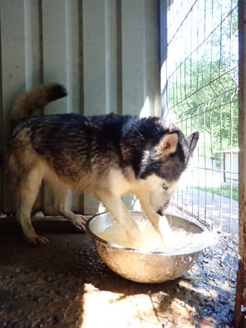 Kira2 · photo 1