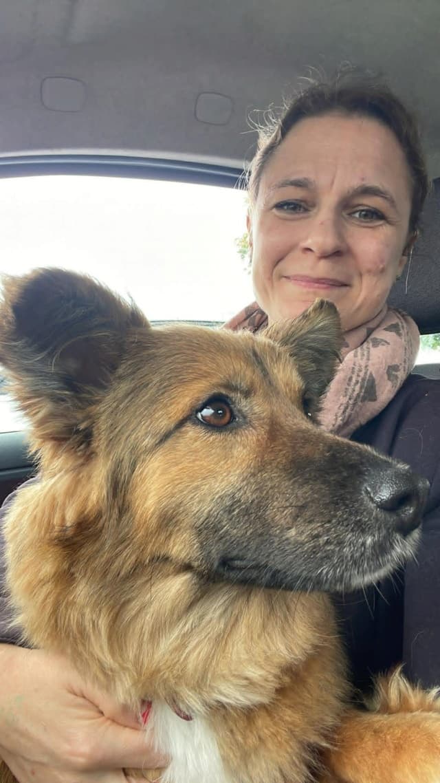 Laika · photo 7