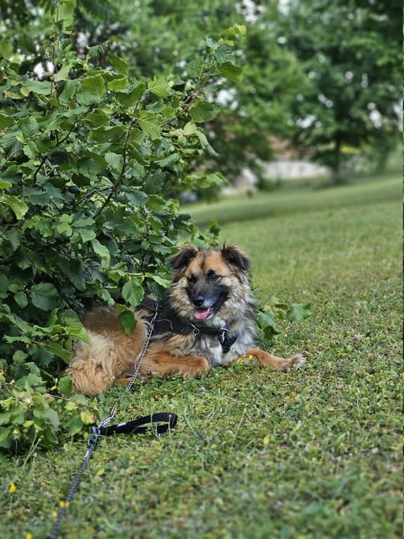 Lulu · photo 2