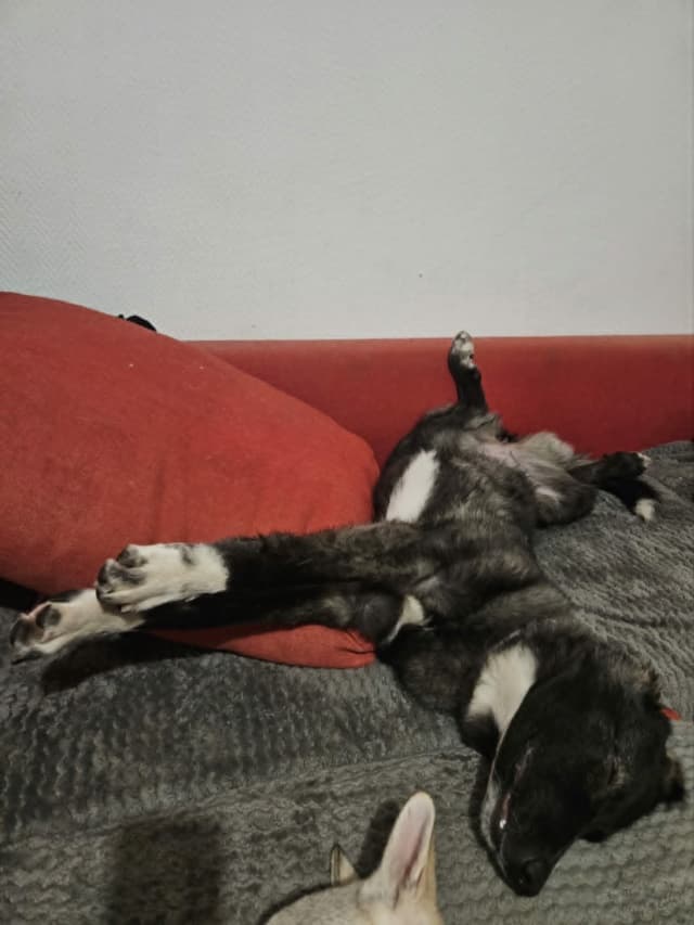Mady · photo 6
