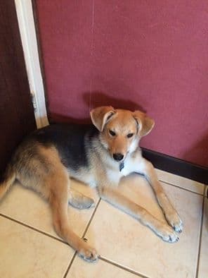 Mako · photo 5