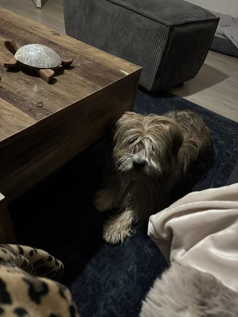 Marley