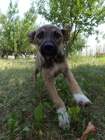 Mavie · photo 7
