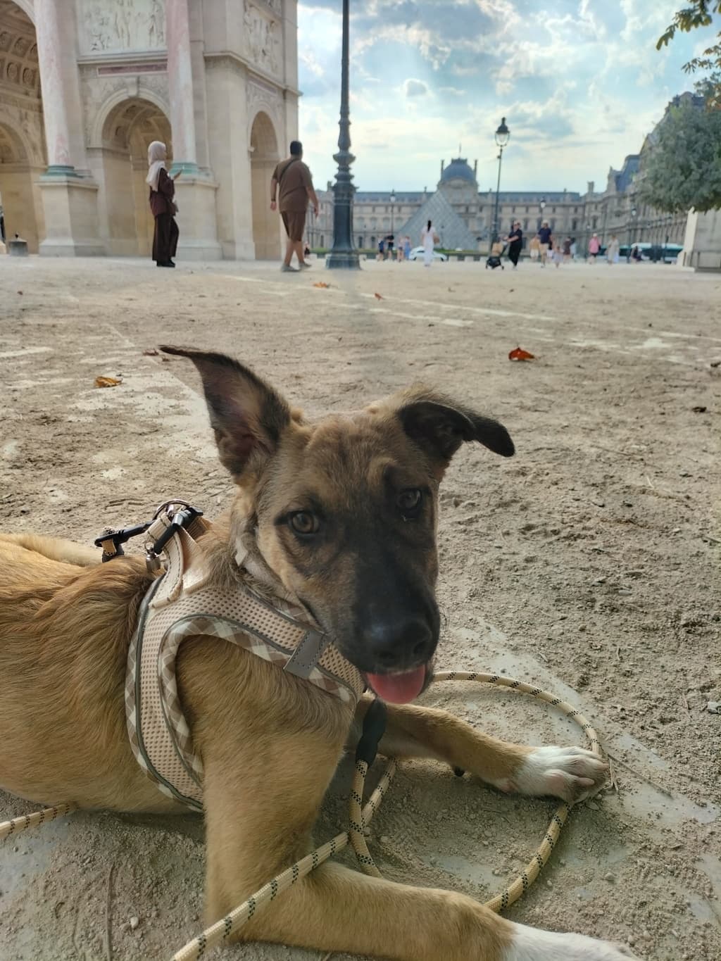 Mavie · photo 2