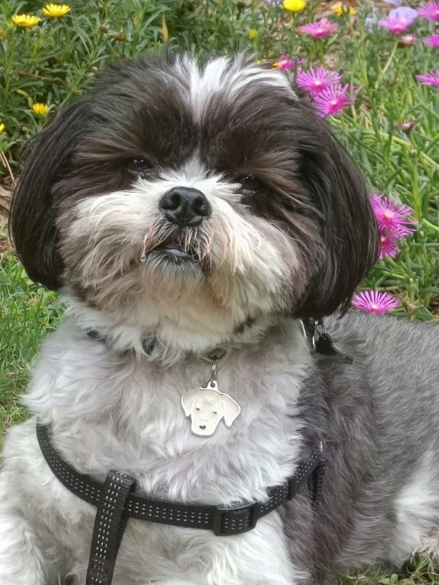 Maxx