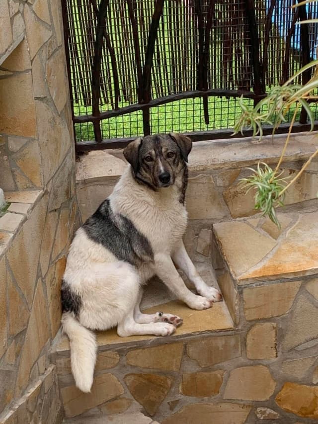 Meredith · photo 3