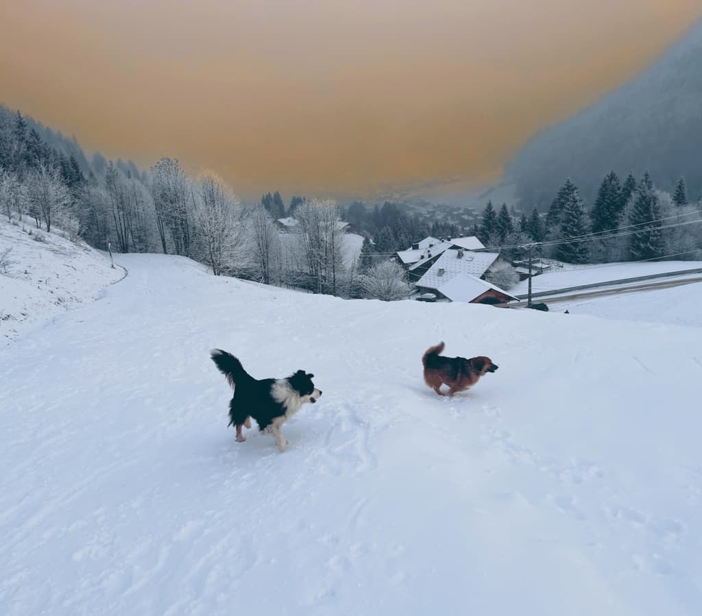 Merry · photo 6