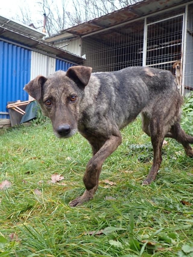 Montana · photo 11