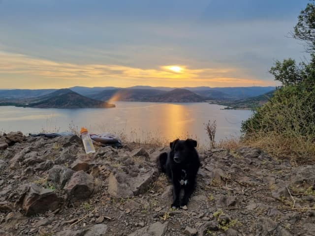 Mushu · photo 9