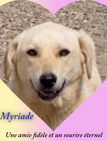 Myriade · photo 2