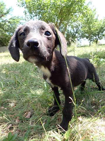 Nayara · photo 5