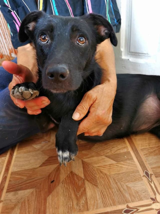 Nikita · photo 2