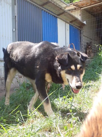 Nina · photo 3