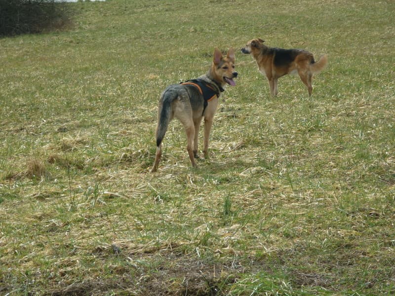 Nyna · photo 4