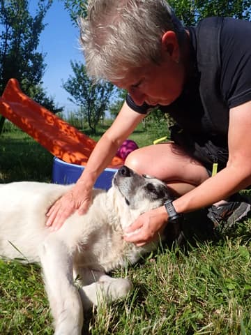 Obelix · photo 8