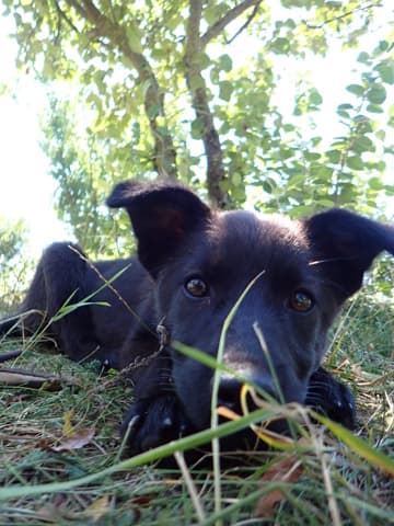 Oksana · photo 7