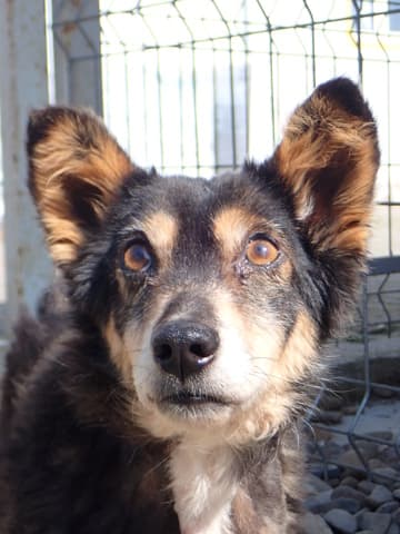 Oldie · photo 9