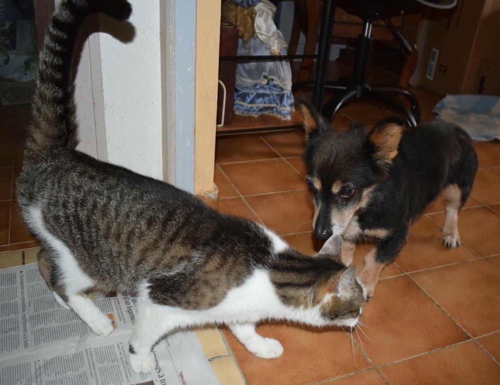 Oldie · photo 7
