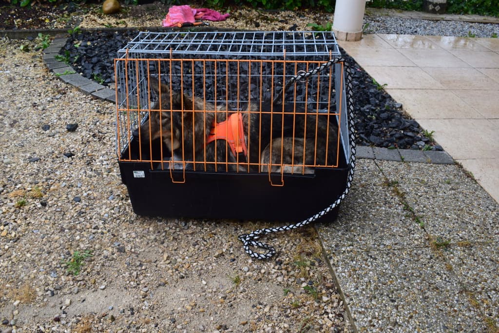 Orange · photo 3