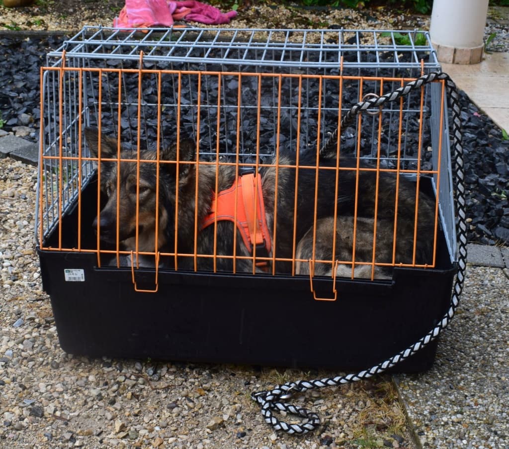 Orange · photo 2