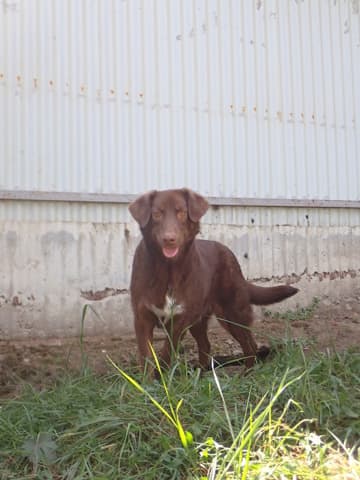 Parker · photo 2