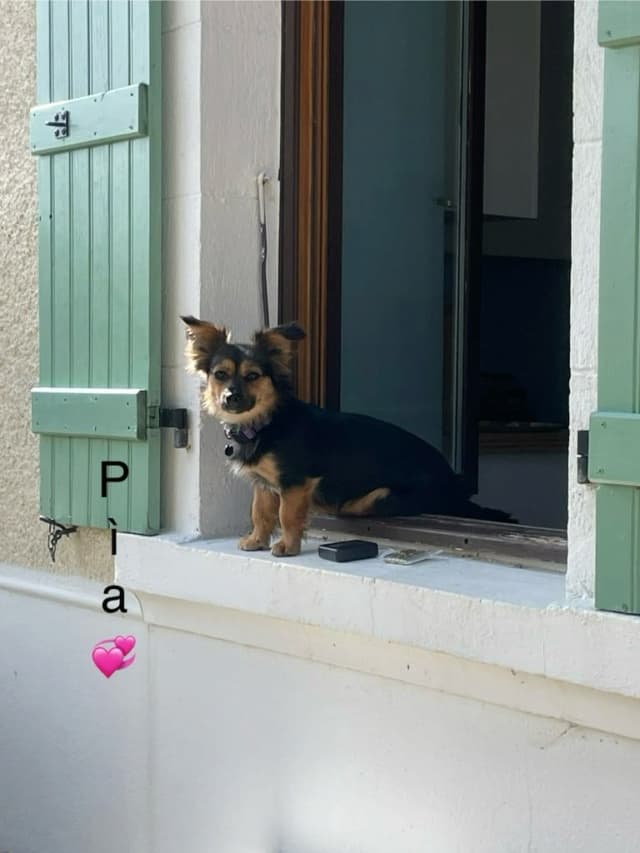 Pia · photo 6