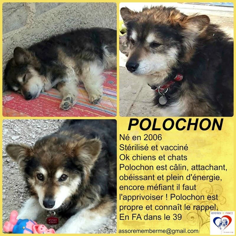 Polochon · photo 10