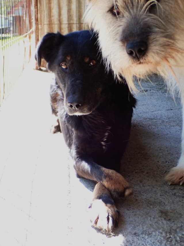 Popi · photo 3