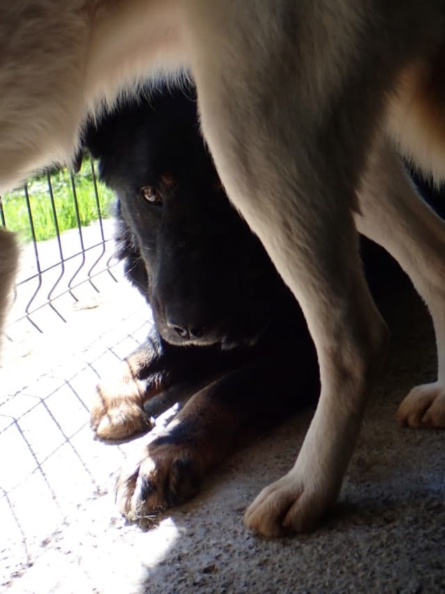 Popi · photo 2