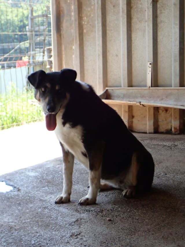 Rajah · photo 1