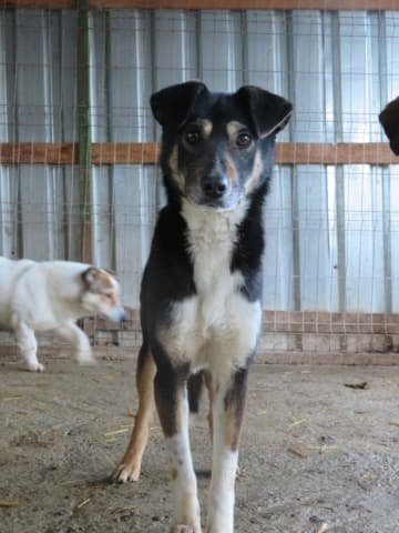 Rajah · photo 1