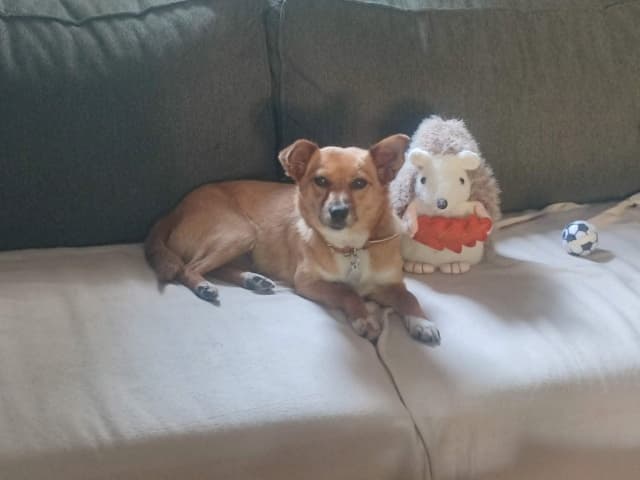 Rita · photo 1